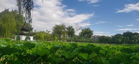 公园风景  