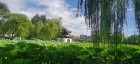 公园风景 