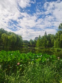 公园风景 
