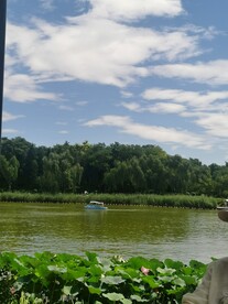 公园风景 