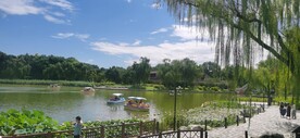 公园风景  