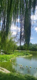 公园风景 