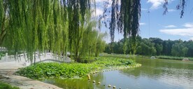 公园风景  