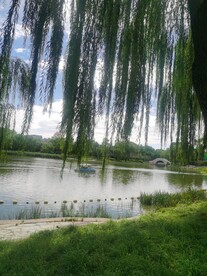 公园风景 