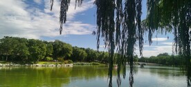 公园风景 