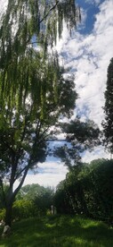 公园风景