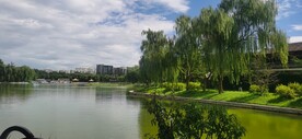 公园风景 
