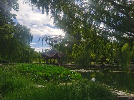 公园风景  