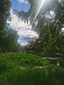 公园风景  