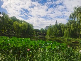 公园风景  