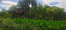 公园风景 