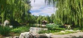 公园风景 