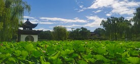 公园风景 