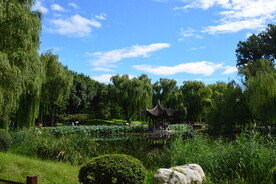 公园风景 