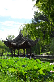 公园风景  