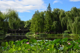 公园风景 