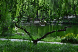 公园风景 