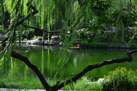 公园风景