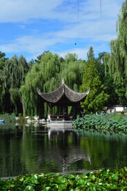 公园风景  