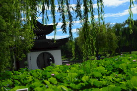 公园风景 