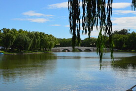 公园风景  