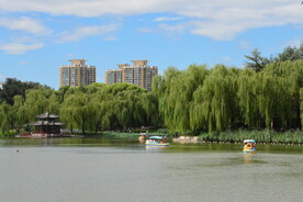 公园风景  