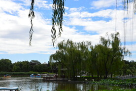 公园风景  