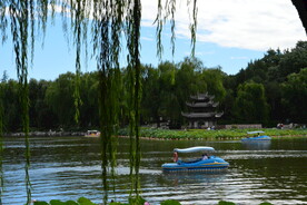 公园风景 