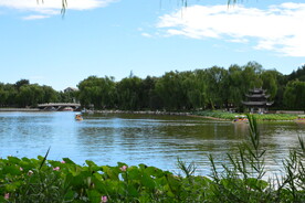 公园风景  