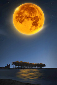 中秋节日海报展板