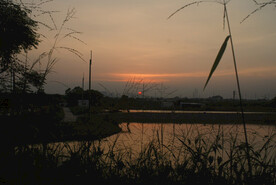 夕阳