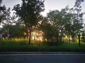 风景