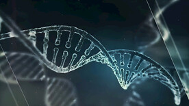 基因
