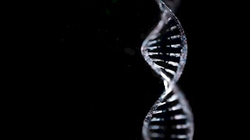 基因
