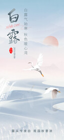 白鹤飞翔白露手机海报