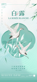 二十四节气白露海报