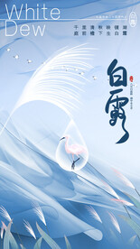 白露节气二十四节气全屏海报