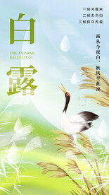 白露节气全屏海报