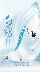 简约白露节气全屏海报