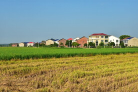 农村风景