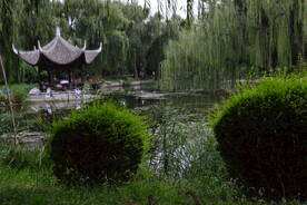 公园风景  