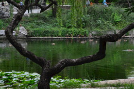公园风景  