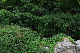 公园风景  