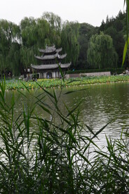 公园风景 