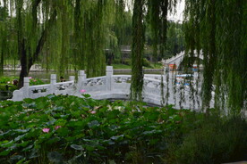 公园风景 