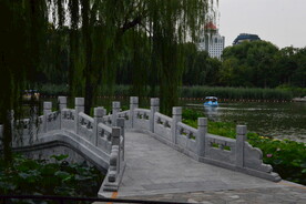 公园风景 