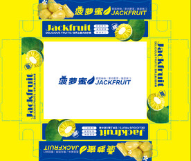 菠萝蜜包装
