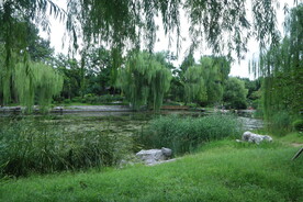 公园风景 
