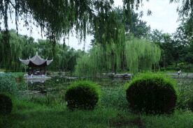 公园风景 