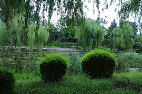 公园风景  